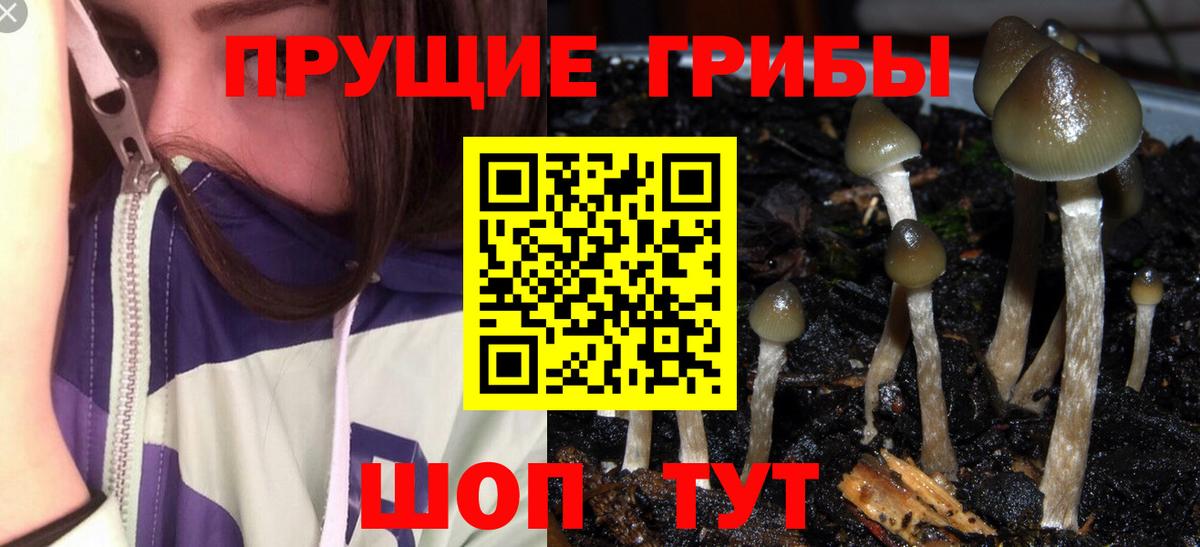 Псилоцибиновые грибы Magic Shrooms Каспийск