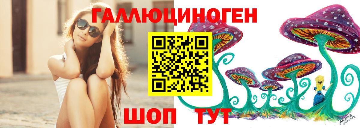 Каспийск  где купить   Вход с VPN  Псилоцибиновые грибы мицелий 